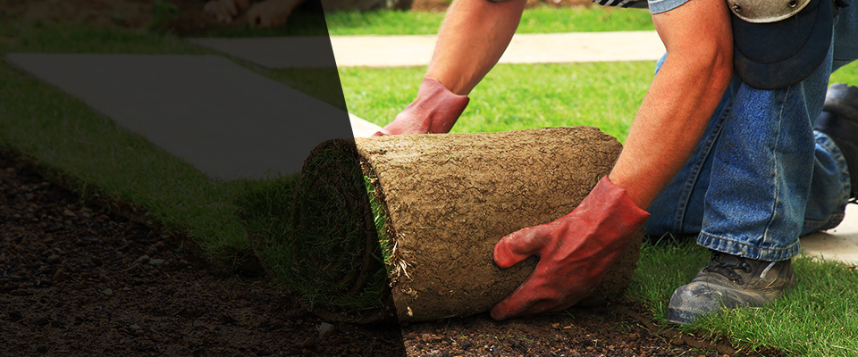 North Royalton Landscapers